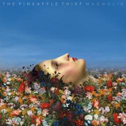 The Pineapple Thief : Magnolia